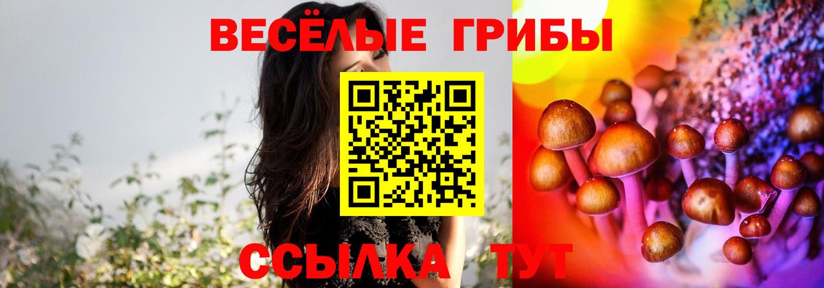 Псилоцибиновые грибы мухоморы Саянск
