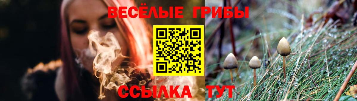 Саянск  продажа наркотиков  Вход с VPN  Галлюциногенные грибы Magic Shrooms 