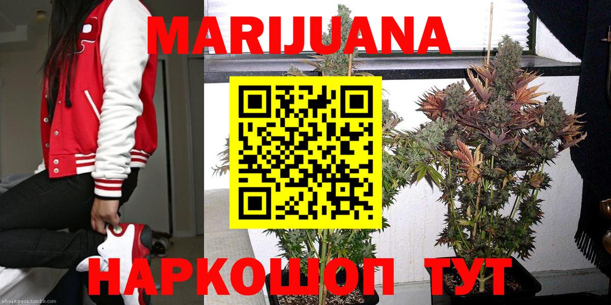 Бошки марихуана ГИДРОПОН Саянск
